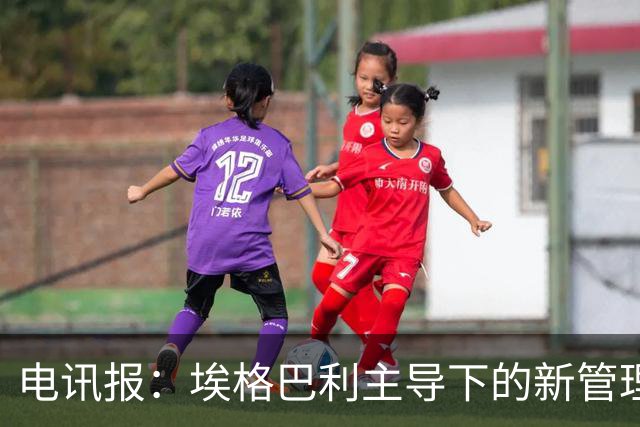 电讯报：埃格巴利主导下的新管理层正在研究斯坦福桥翻新还是搬迁